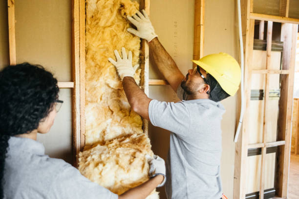 Best Wall Insulation Installation  in Del Rio, CA